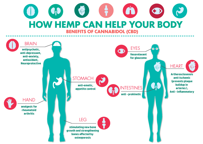 Health Benefits Of Cbd Cannabidiol 360