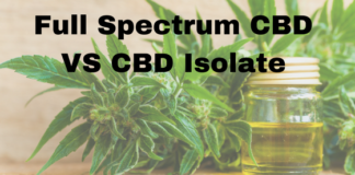Differences Between Full Spectrum CBD and CBD Isolate