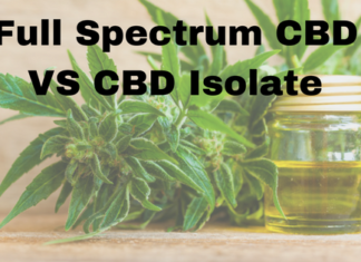 Differences Between Full Spectrum CBD and CBD Isolate