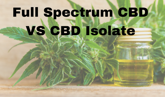 Differences Between Full Spectrum CBD and CBD Isolate