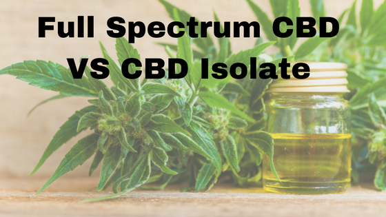 cbd hemp oil full spectrum