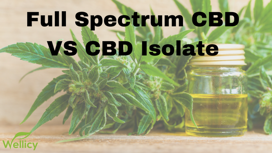 Full Spectrum CBD Vs Isolate - Cannabidiol 360