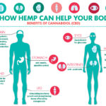 Health-benefits-of-CBD