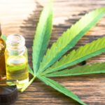 Hemp CBD Oil Buying Considerations