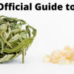 The Official Guide to CBD Cover Photo