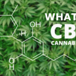 What-is-CBD