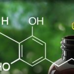 cannabidiol-treatment