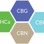 Cannabinoids