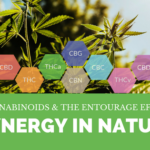 Cannabinoids & The Entourage Effect