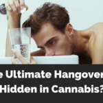 Curing Hangovers with CBD