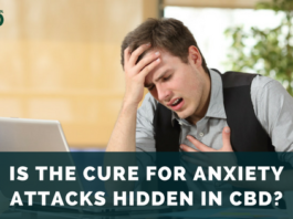 Treating Anxiety Attacks with CBD