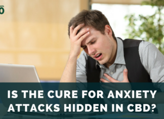 Treating Anxiety Attacks with CBD