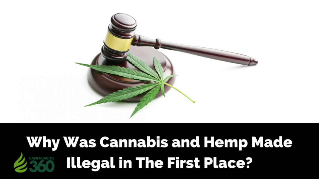 Legacy of CBD: Legalization History of Cannabis & Hemp