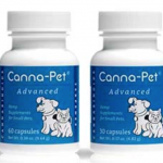 CBD Capsules for Pets