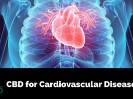 Benefits of CBD for Cardiovascular Diseases