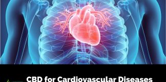 Benefits of CBD for Cardiovascular Diseases