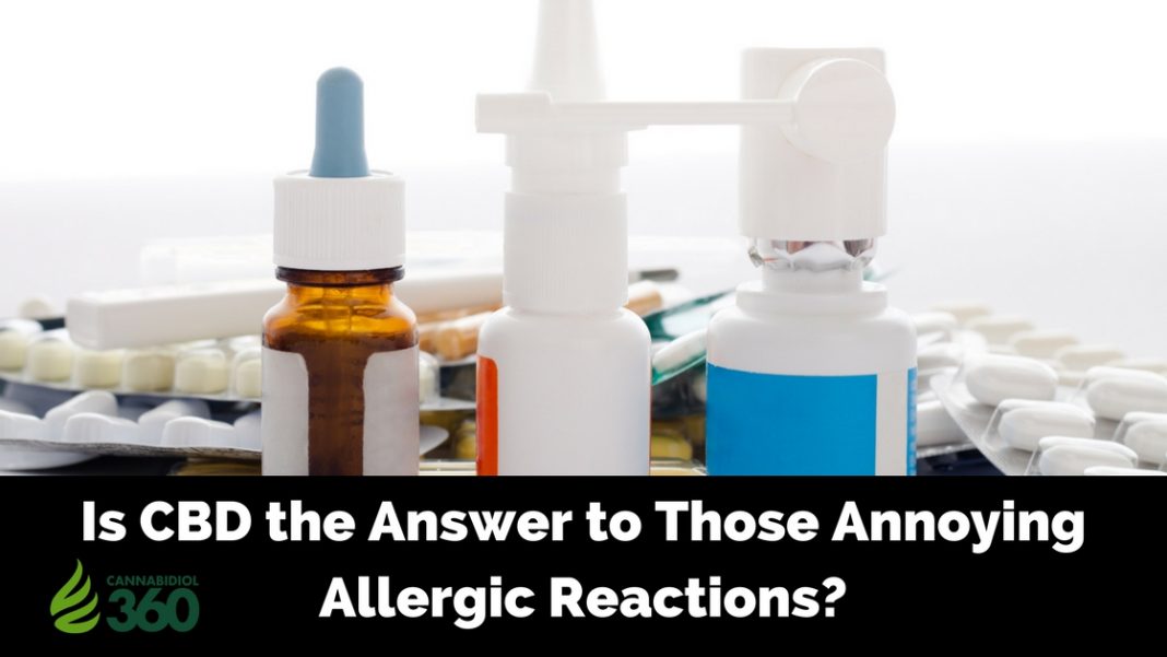CBD for Allergic Reactions