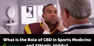 CBD in Sports Medicine