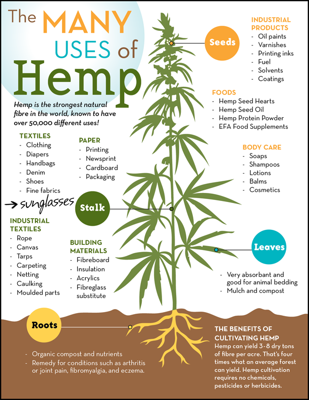 The Many Ways Hemp Can Be Used