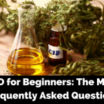 CBD for Beginners