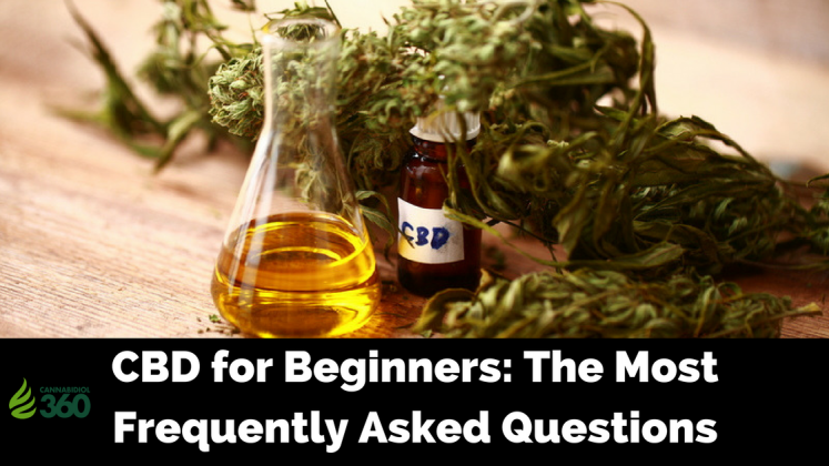 CBD For Beginners: The Most Frequently Asked Questions - Cannabidiol 360