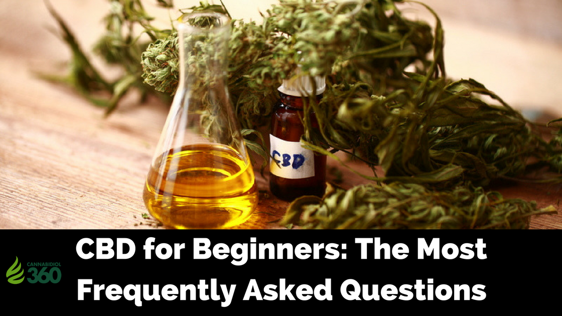 CBD For Beginners: The Most Frequently Asked Questions - Cannabidiol 360