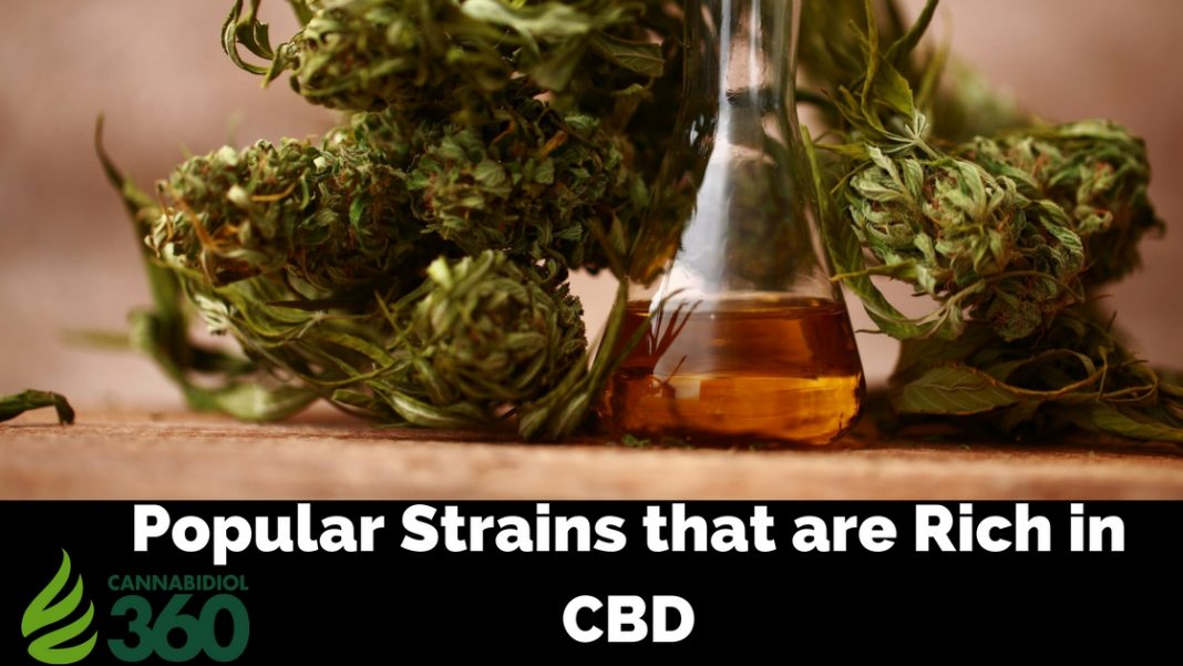 Most Popular CBD Rich Cannabis Strains