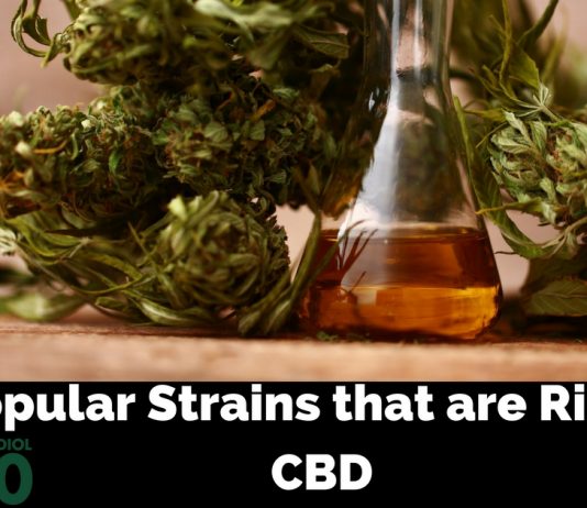 Most Popular CBD Rich Cannabis Strains