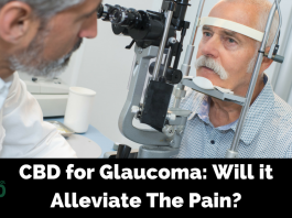 How to Treat Glaucoma with Cannabidiol (CBD) Oil
