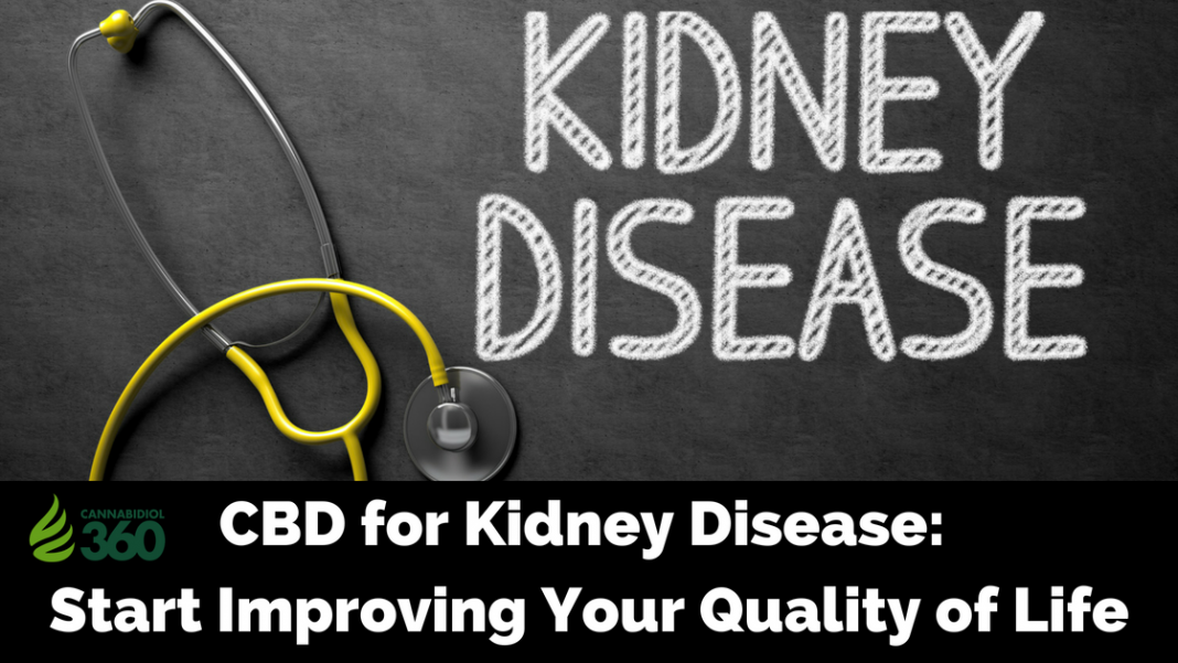 Treating Kidney Disease with CBD