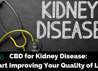 Treating Kidney Disease with CBD