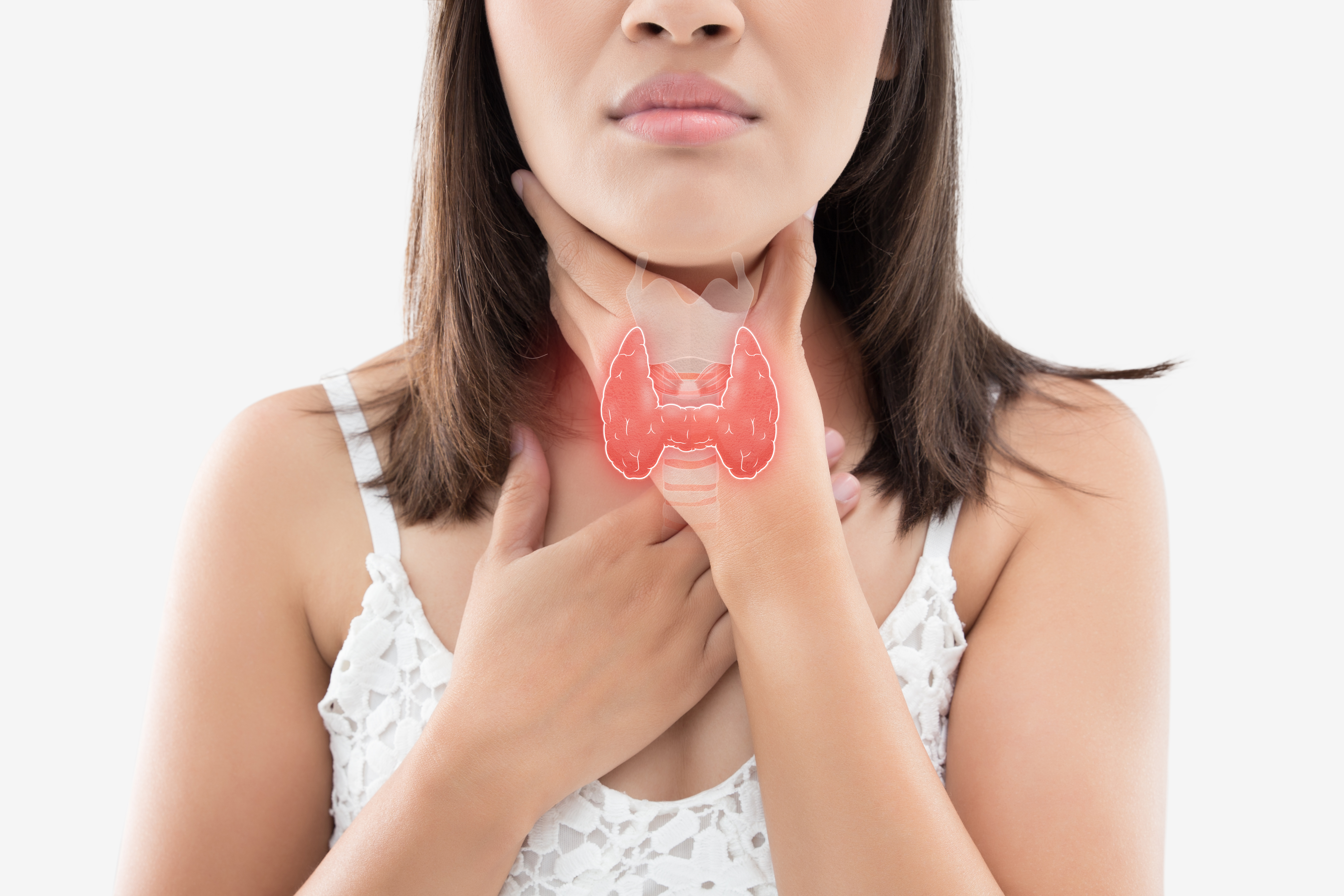К пор сток. Thyroid щитовидная железа. Эндокринология щитовидная. Shitovidnoe Jeleza.