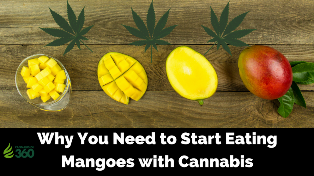 Benefits of Eating Mangoes with Cannabis