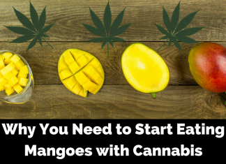 Benefits of Eating Mangoes with Cannabis