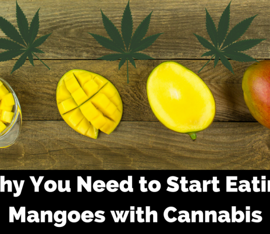 Benefits of Eating Mangoes with Cannabis