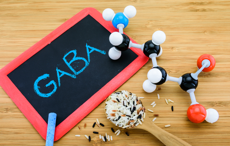 Treating Autism Through the GABA Neurotransmitter