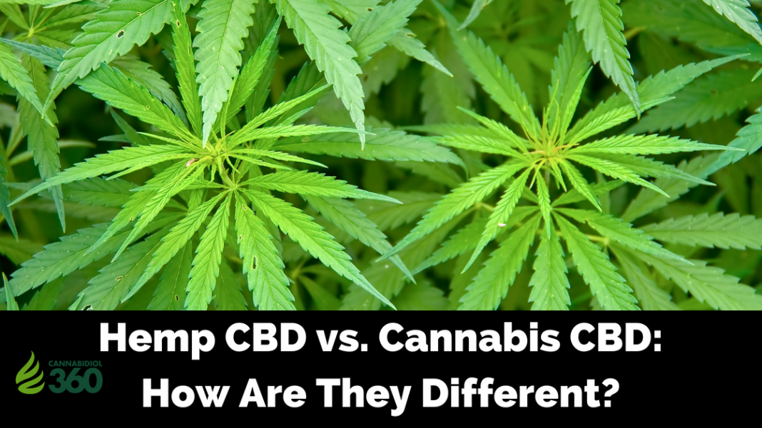 Hemp CBD vs. Marijuana CBD