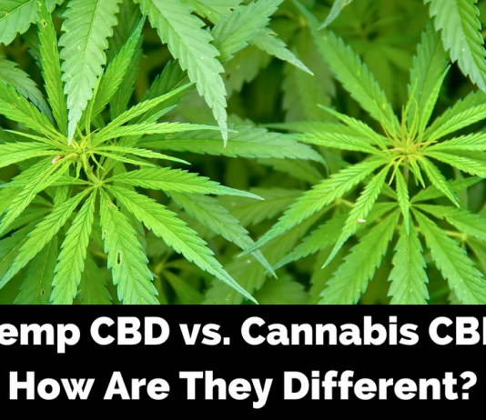 Hemp CBD vs. Marijuana CBD