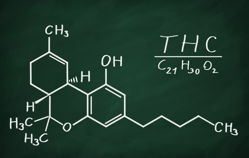 Comparing THC Content in Hemp vs Marijuana