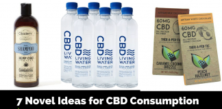 Unique CBD Products You Need to Try