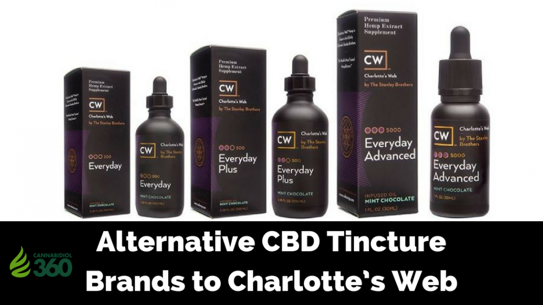 Alternative CBD Tincture Brands to CW Hemp