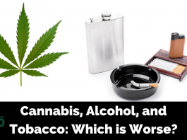 Cannabis vs Tobacco and Alcohol