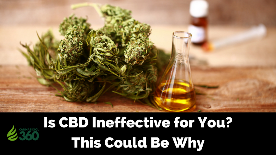 Why CBD Oil Doesn't Work for You and What You Can do to Experience the benefits of CBD