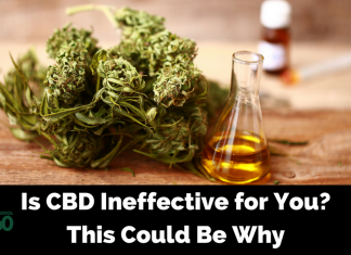 Why CBD Oil Doesn't Work for You and What You Can do to Experience the benefits of CBD