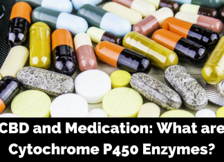CBD Drug Interactions: The Role of Cytochrome P450 Enzymes