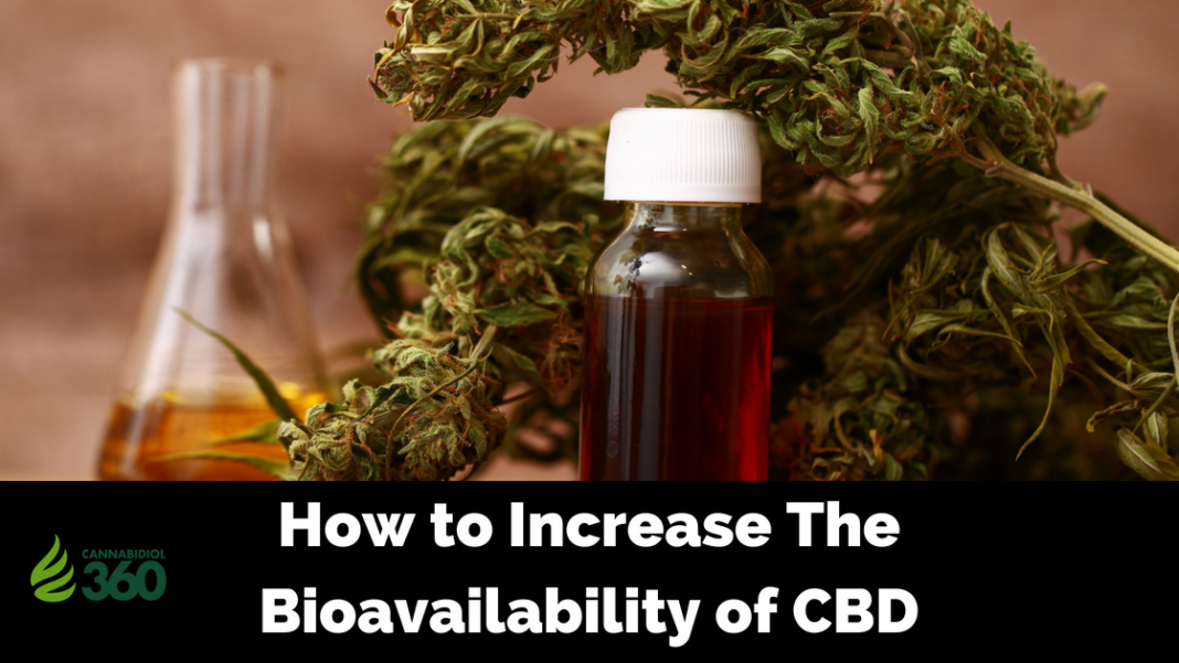 Improve the Function of Your Endocannabinoid System to Improve the Bioavailability of CBD