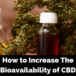 How to Increase the Bioavailability of CBD