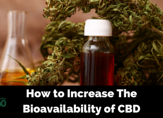 Improve the Function of Your Endocannabinoid System to Improve the Bioavailability of CBD