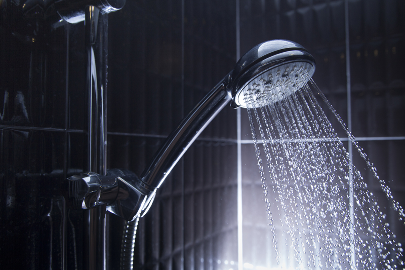 Enhance Your Endocannabinoid System with a Cold Shower to Improve CBD Bioavailability