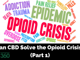 The Effectiveness of CBD on Opioid Addiction